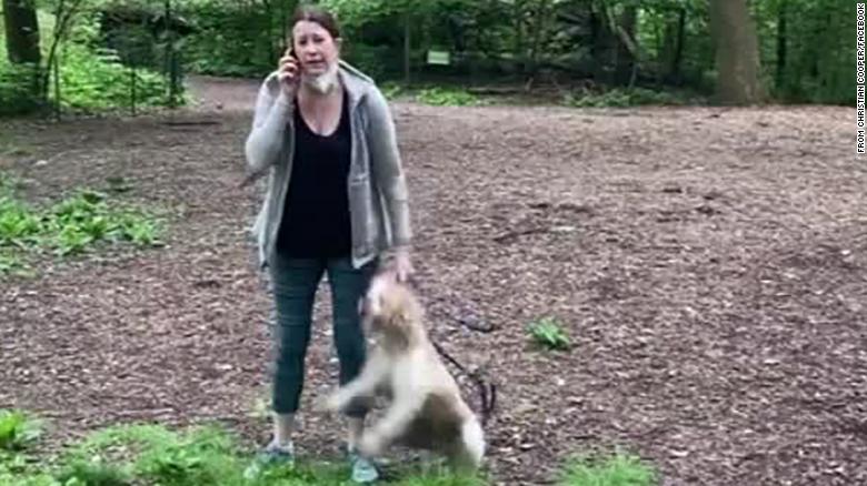 Women Who Falsely Accused Black Man In Central Park, Gets Her Dog Back