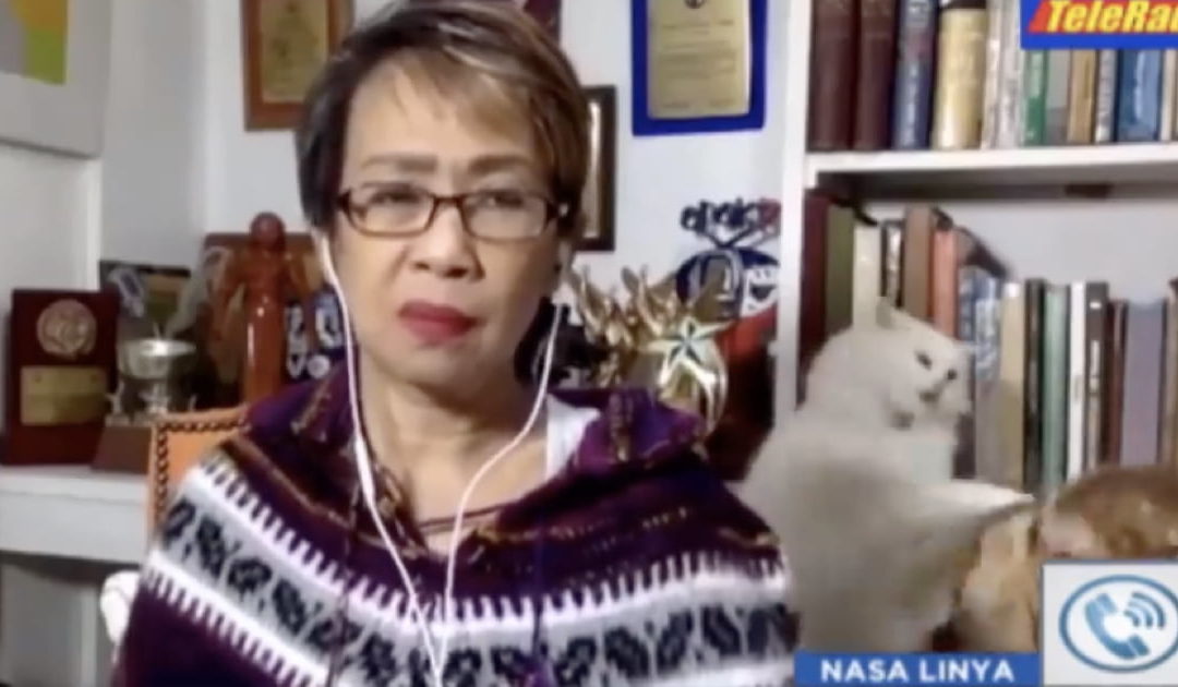 Reporter Tries To keep It Together As Cat Fight Erupts Behind Her During Live TV Interview