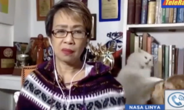 Reporter Tries To keep It Together As Cat Fight Erupts Behind Her During Live TV Interview