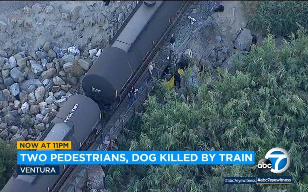 Two People Killed By Train As They Were Trying To Free Their Dog Stuck On Tracks
