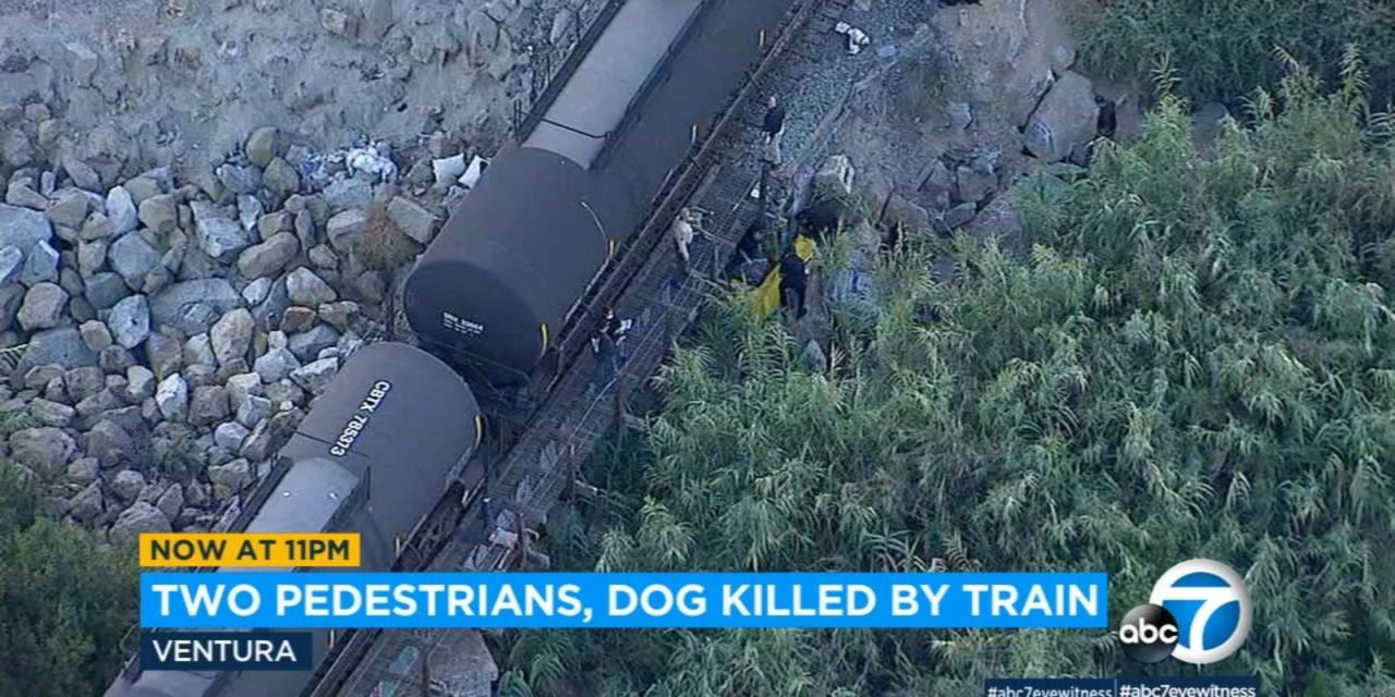 Two People Killed By Train As They Were Trying To Free Their Dog Stuck On Tracks