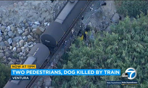 Two People Killed By Train As They Were Trying To Free Their Dog Stuck On Tracks