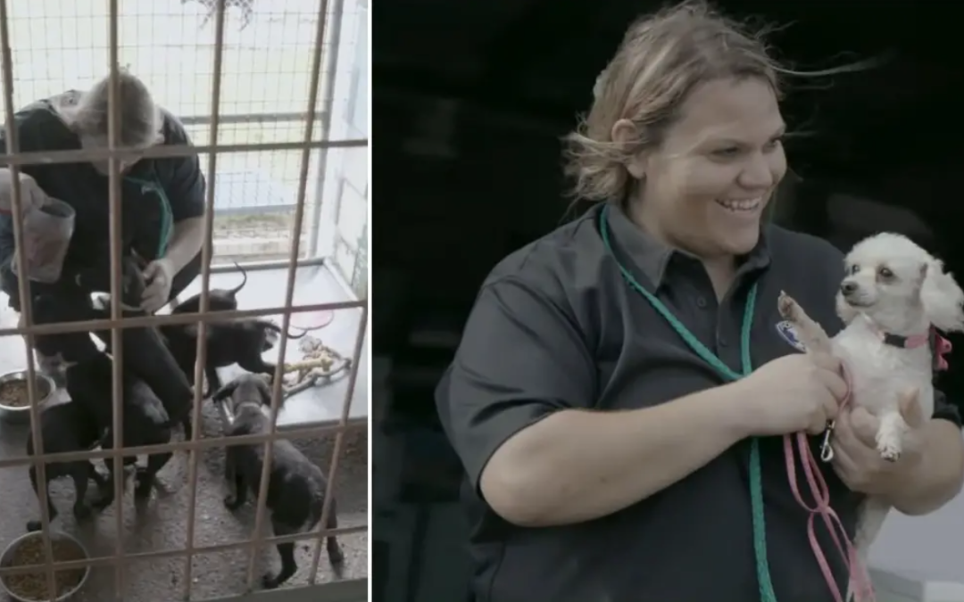 A Woman Decides To Take Over Animal Shelter And Reduces Euthanasia Rates To Zero