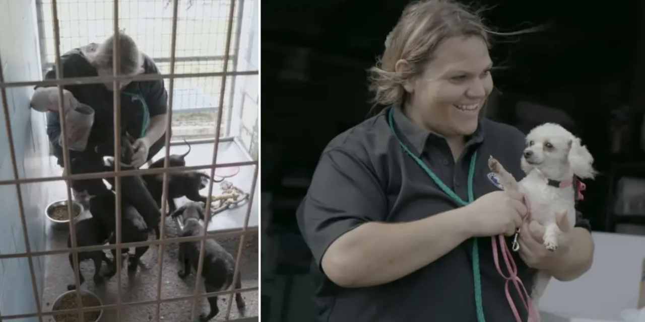 A Woman Decides To Take Over Animal Shelter And Reduces Euthanasia Rates To Zero