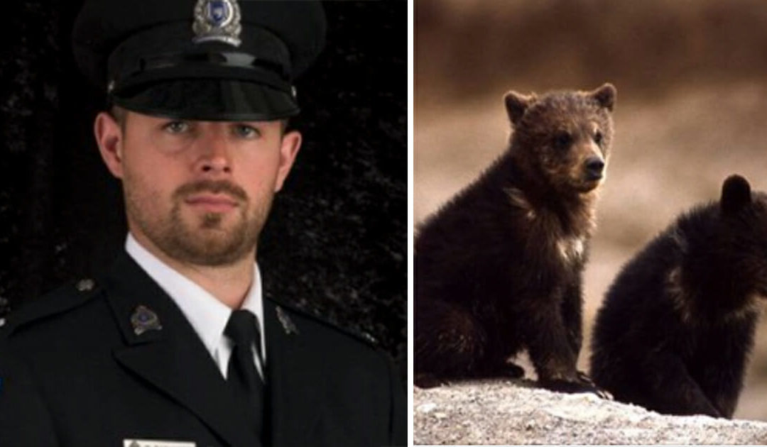 Conservation Officer Fired For Refusing To Kill Bear Cubs Wins Legal Battle Over Termination