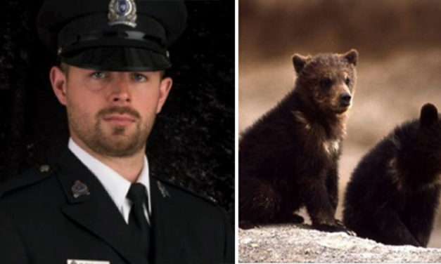 Conservation Officer Fired For Refusing To Kill Bear Cubs Wins Legal Battle Over Termination