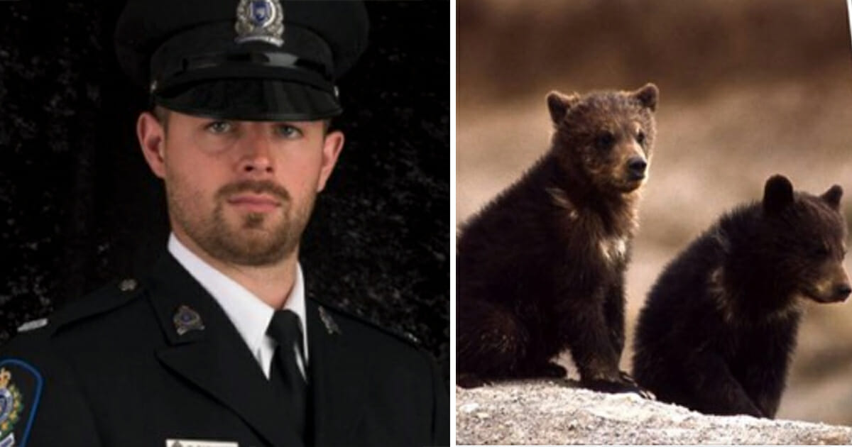 Conservation Officer Fired For Refusing To Kill Bear Cubs Wins Legal Battle Over Termination