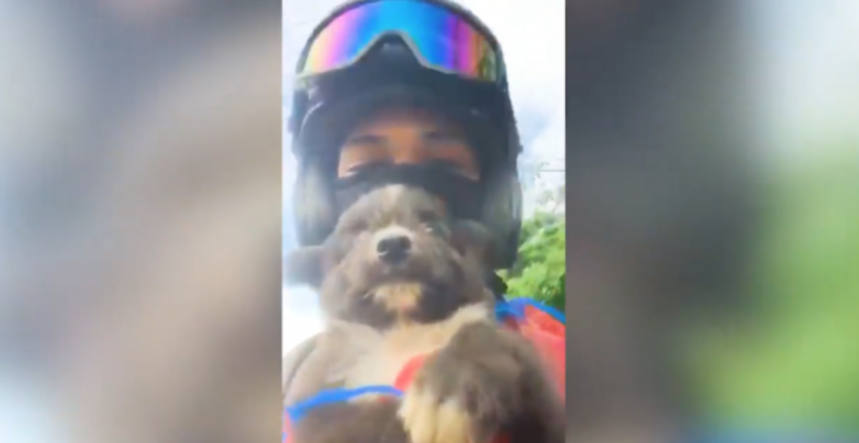 ‘Pasabuy’ Rider Delivers A Cute Puppy Instead of Food
