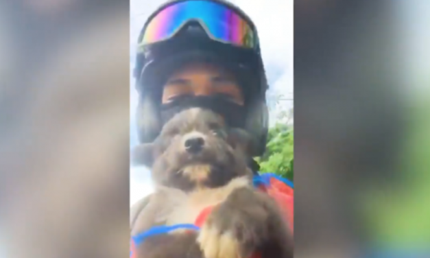 ‘Pasabuy’ Rider Delivers A Cute Puppy Instead of Food