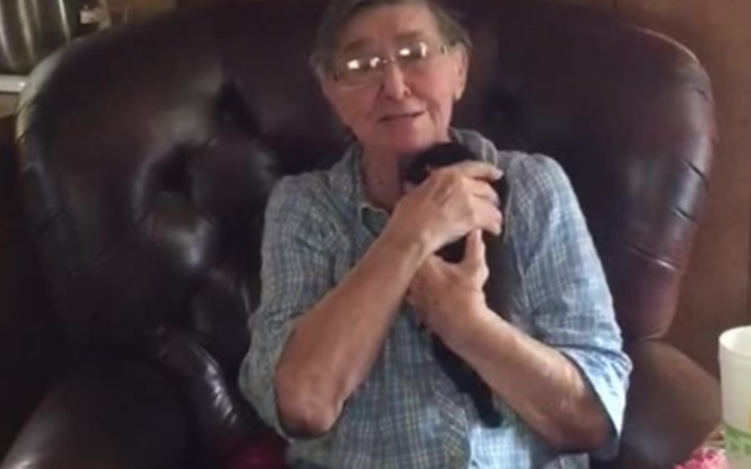 80-Year-Old Grandma Cries  After Getting A New Puppy