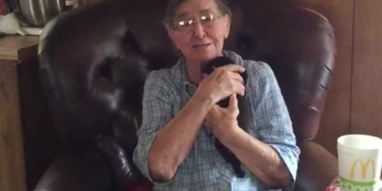 80-Year-Old Grandma Cries  After Getting A New Puppy