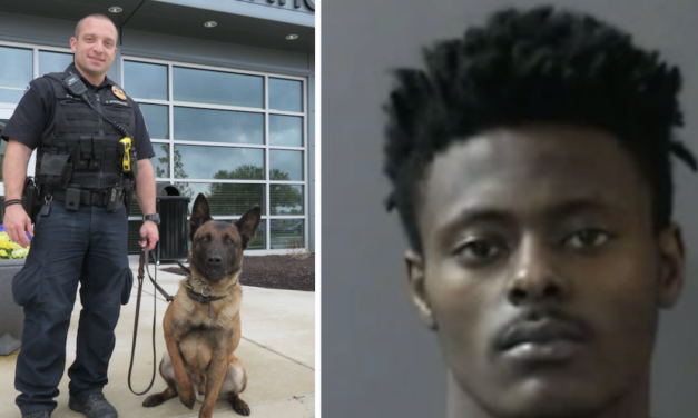 Man Who Killed Police Dog Receives Sentence For His Cruel Actions
