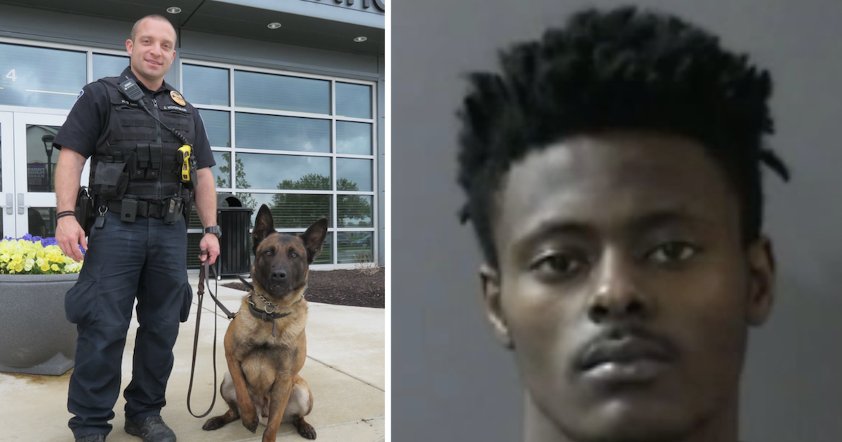 Man Who Killed Police Dog Receives Sentence For His Cruel Actions
