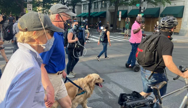 Warren and dog Bailey join protests outside White House