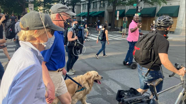 Warren and dog Bailey join protests outside White House