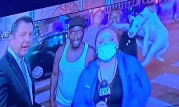 A Protester in Memphis Abuses Dog on Live Television