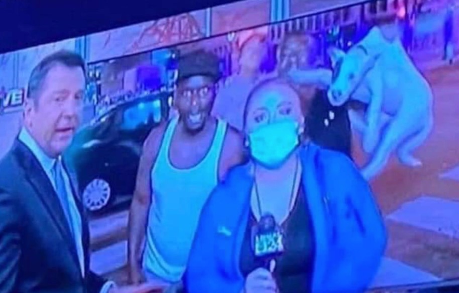 A Protester in Memphis Abuses Dog on Live Television