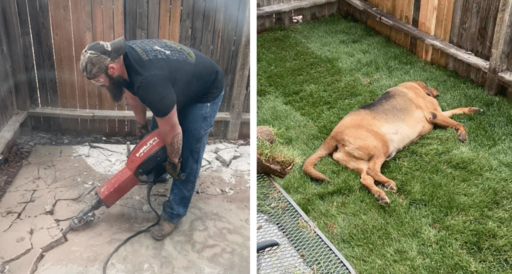 Adopted Dog Gets A Surprise Of A Lifetime – His Very First Yard