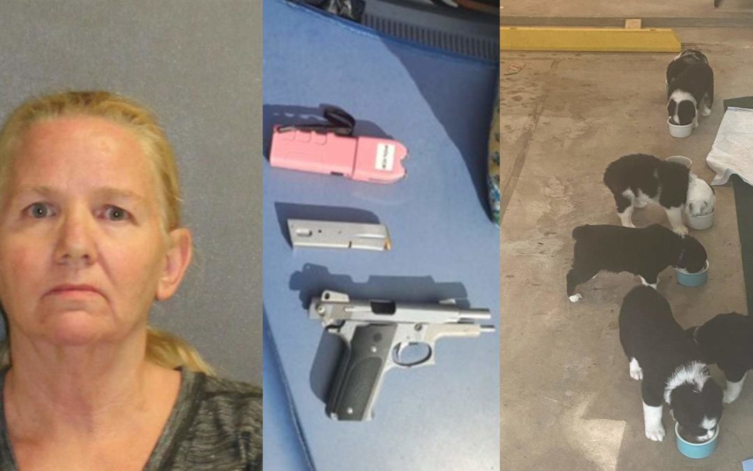 A Woman Threatens Couple With Taser And Tries To Steal A Puppy For Sale