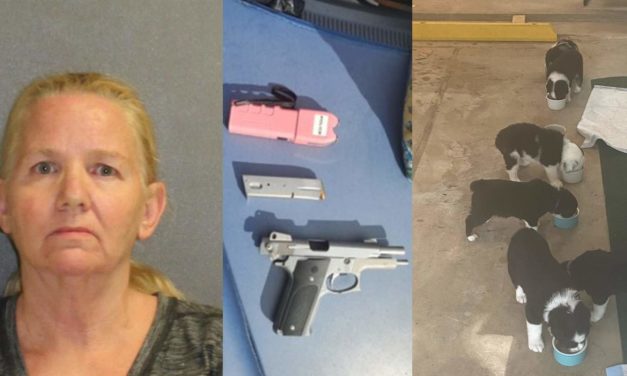 A Woman Threatens Couple With Taser And Tries To Steal A Puppy For Sale