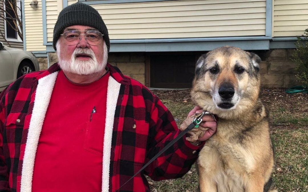 A Dog Was Shot And Killed During Protest And His Owner Thinks It Was Just A Random Act