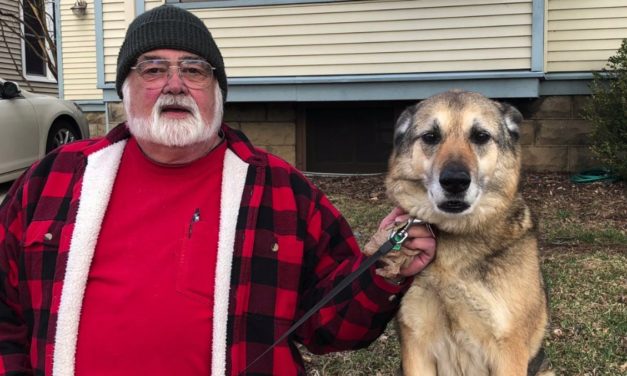 A Dog Was Shot And Killed During Protest And His Owner Thinks It Was Just A Random Act