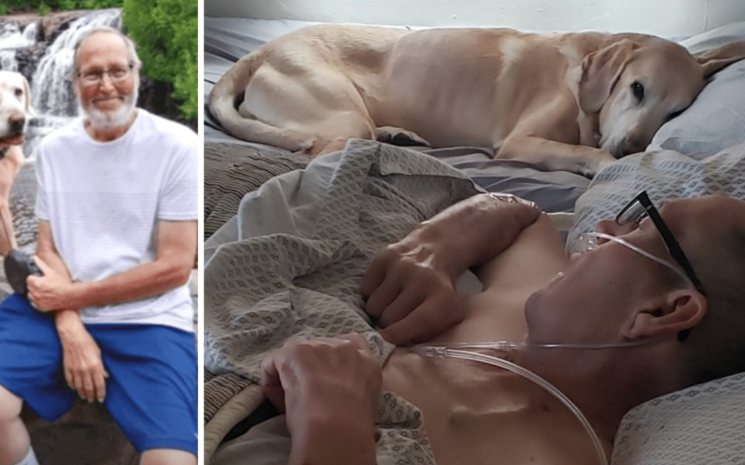 Air Force Veteran And His Loyal Dog Pass Away Just Hours Apart