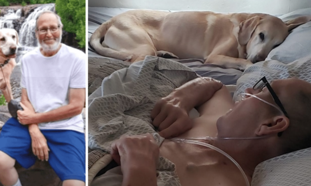 Air Force Veteran And His Loyal Dog Pass Away Just Hours Apart