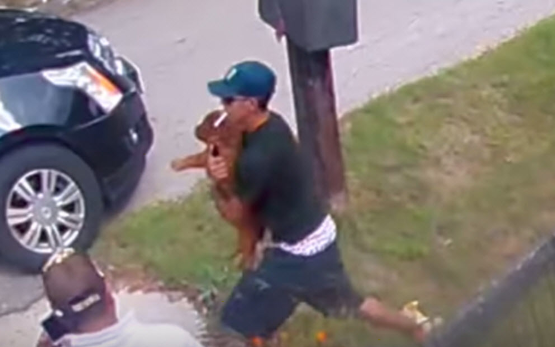 Thieves Caught On Surveillance Camera While Stealing A Dog
