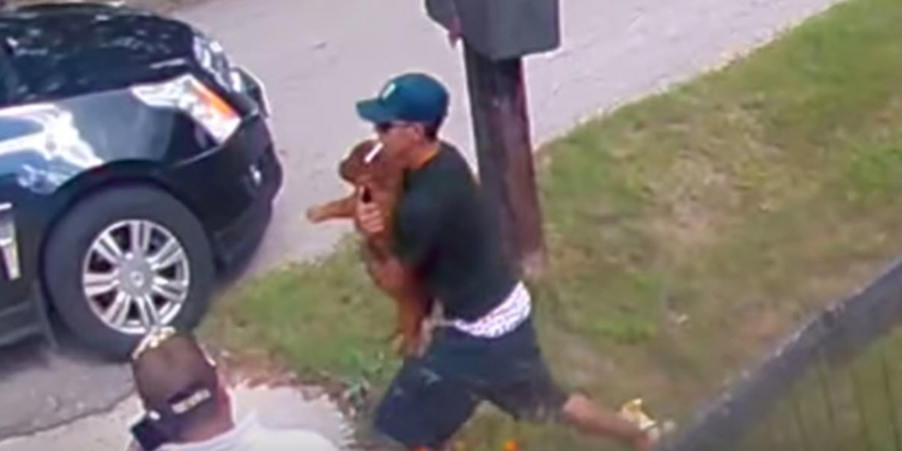 Thieves Caught On Surveillance Camera While Stealing A Dog