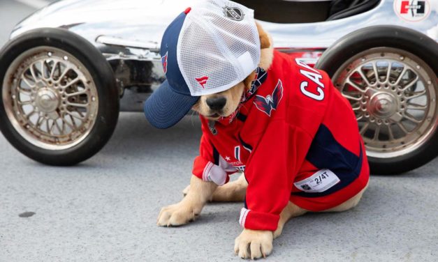 Meet The Washington Capitals’ Cute Puppy, Captain, Who Was Also Voted As NHL’s Best Team Dog