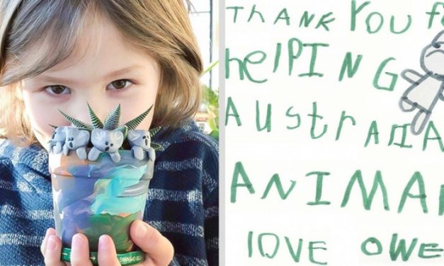 6-Year-Old Boy Raises Over$100,000 With Little Koala Figurines To Help Australia