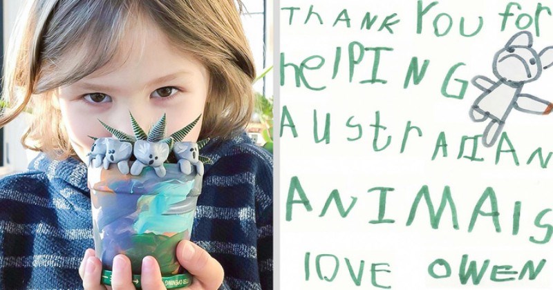 6-Year-Old Boy Raises Over$100,000 With Little Koala Figurines To Help Australia