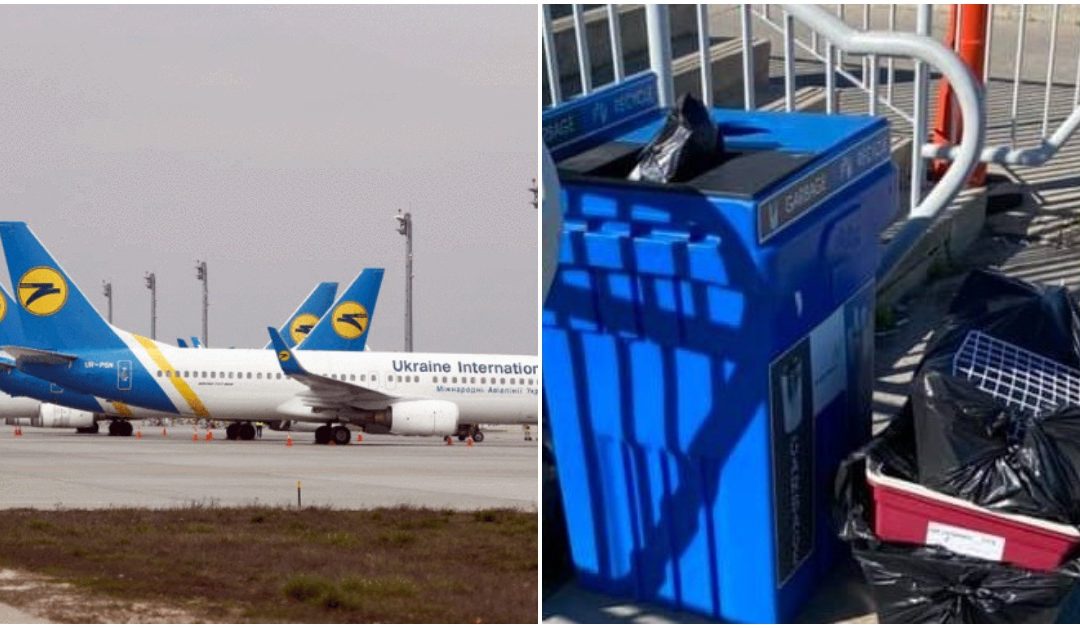 Numerous Puppies Found Dead In A Ukrainian Plane That Landed in Toronto
