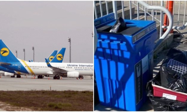 Numerous Puppies Found Dead In A Ukrainian Plane That Landed in Toronto
