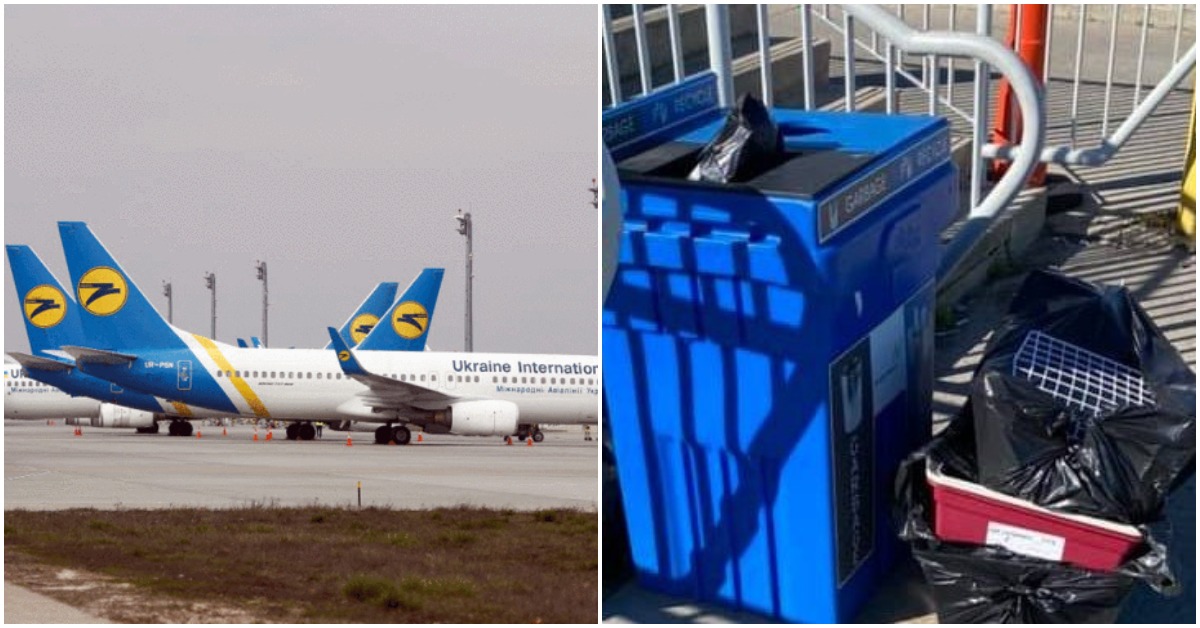 Numerous Puppies Found Dead In A Ukrainian Plane That Landed in Toronto