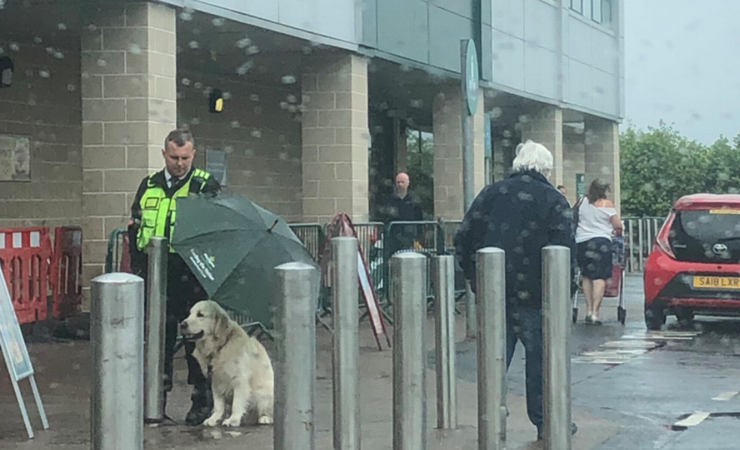 Security Guard Protects Dog With His Umbrella During Downpour And The Photo Goes Viral