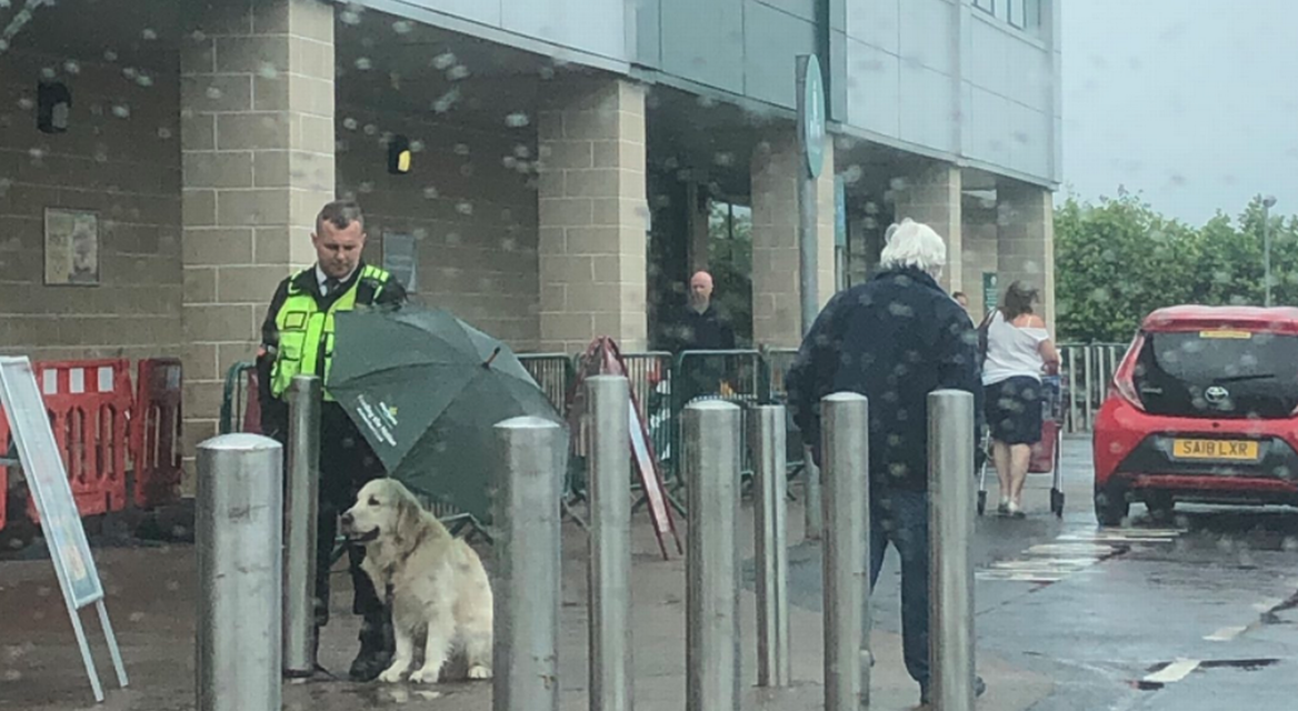 Security Guard Protects Dog With His Umbrella During Downpour And The Photo Goes Viral