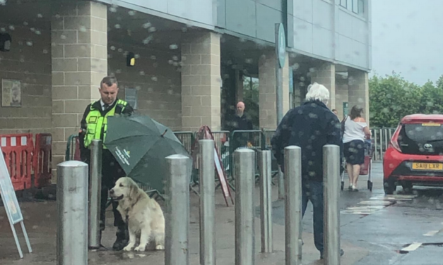 Security Guard Protects Dog With His Umbrella During Downpour And The Photo Goes Viral