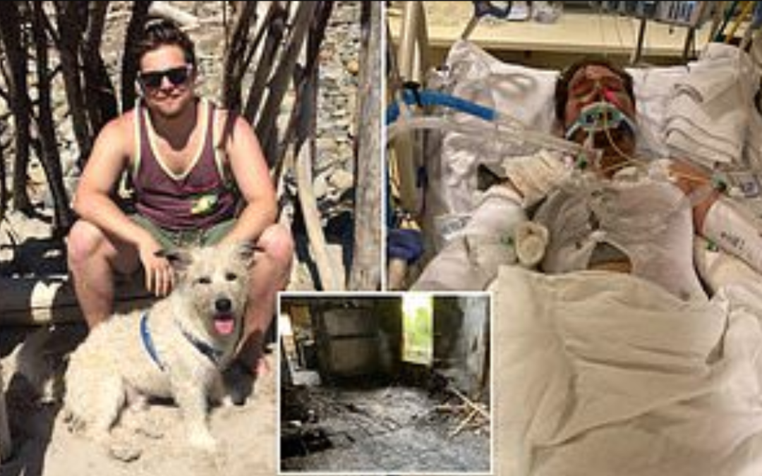 A Dog Died In Fire While Trying To Save His Owner’s Life