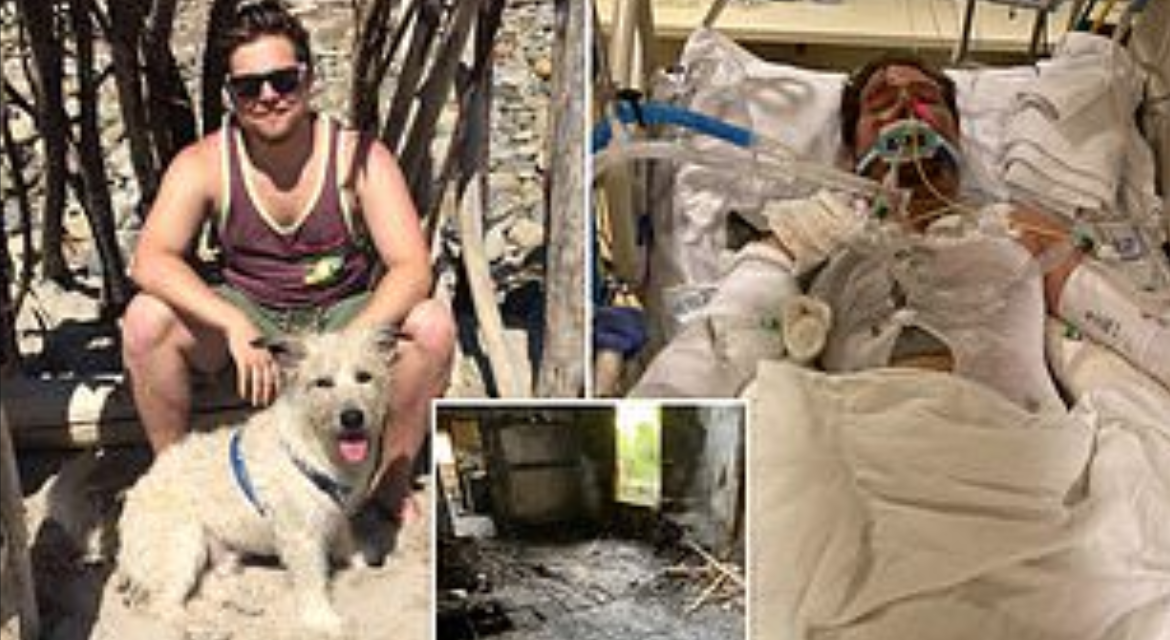 A Dog Died In Fire While Trying To Save His Owner’s Life