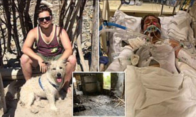 A Dog Died In Fire While Trying To Save His Owner’s Life