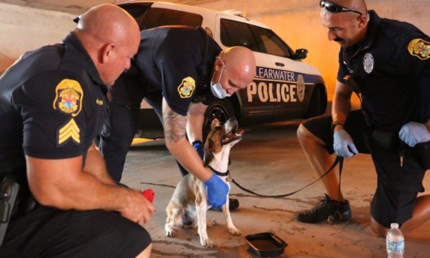 Police Officers Break Window To Save Helpless Dog Inside Hot Vehicle