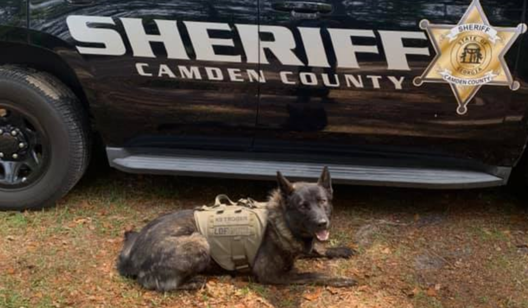 Knife-wielding suspect agrees to surrender to police if they let him pet the K9 dog