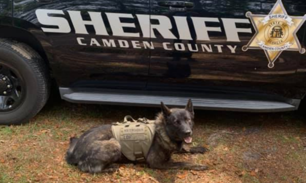 Knife-wielding suspect agrees to surrender to police if they let him pet the K9 dog