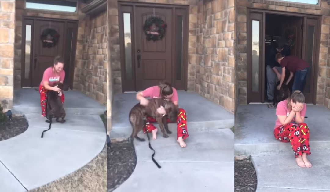 Parents Secretly Adopt Dog That Daughter Was Caring For In Shelter