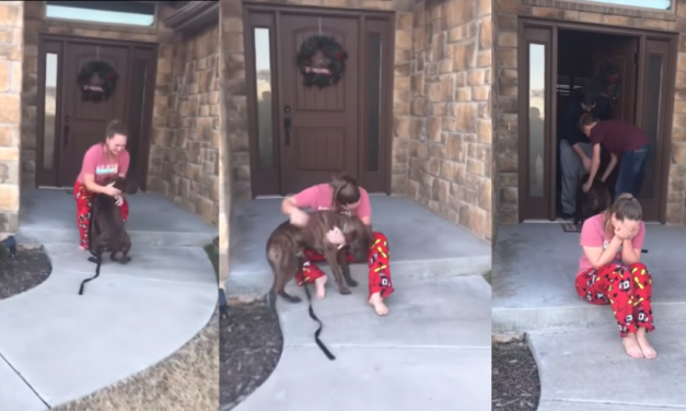 Parents Secretly Adopt Dog That Daughter Was Caring For In Shelter