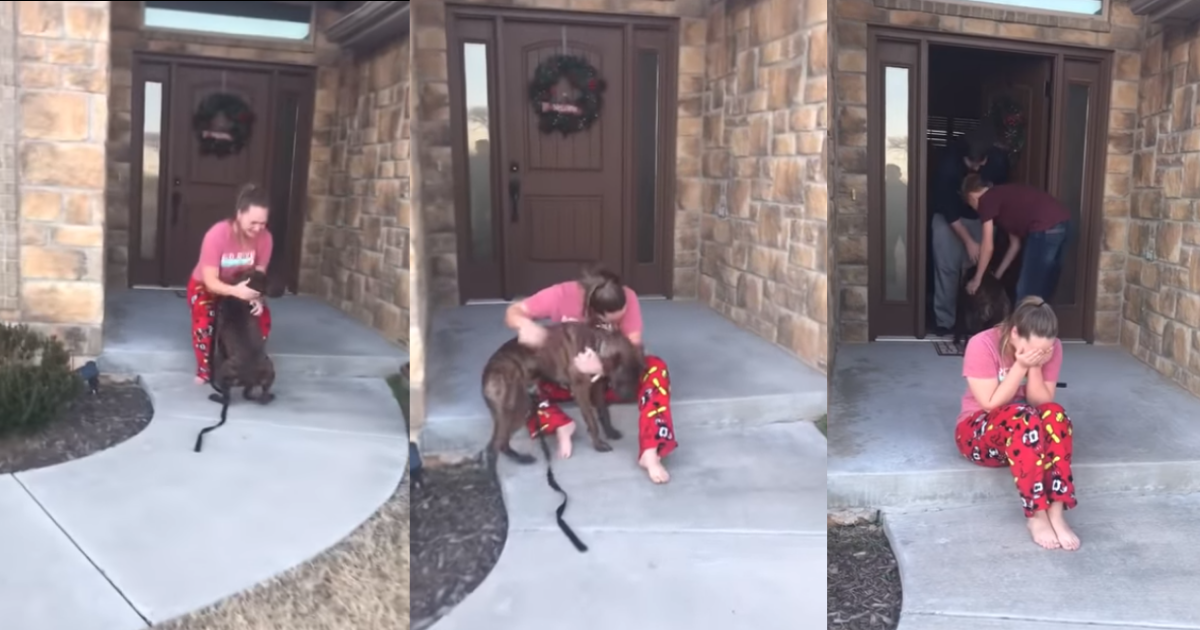 Parents Secretly Adopt Dog That Daughter Was Caring For In Shelter