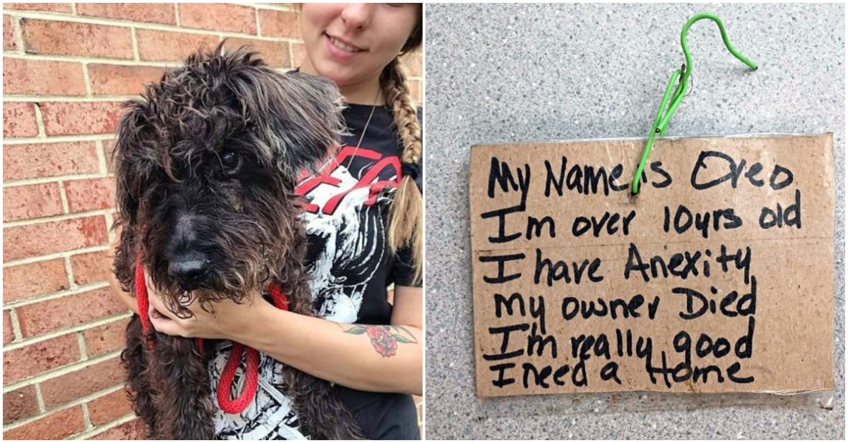 Officer Finds Old Blind Dog Tied To a Pole In Hot Sun With a Note