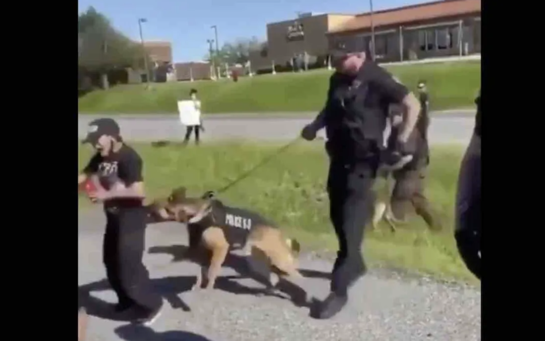 A Sneak Peek At The Protests – One Protester Gets a Little Too Close To A Police Dog